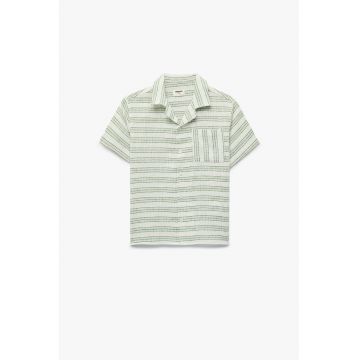 Camasa regular fit in dungi cu nasturi - Verde/Bej deschis